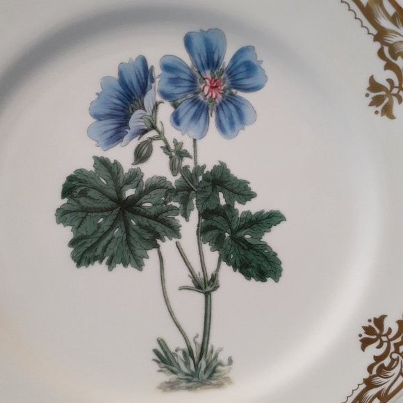 Andrea by Sadek, Golden Botanical by Samuel Curtis  1811 London Plate 10 1/2" - Picture 2 of 9